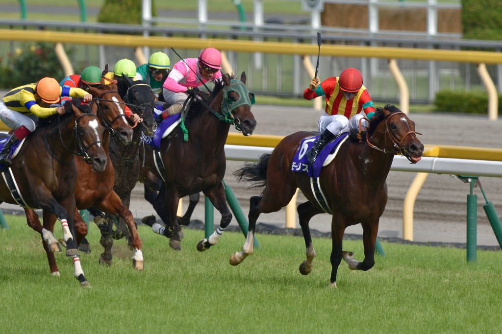 2015 安田記念 モーリス