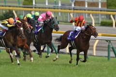 2015 安田記念 モーリス