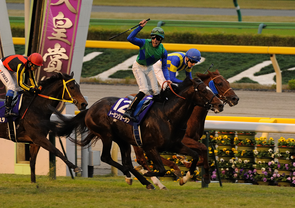 2011天皇賞・秋　ト－センジョーダン