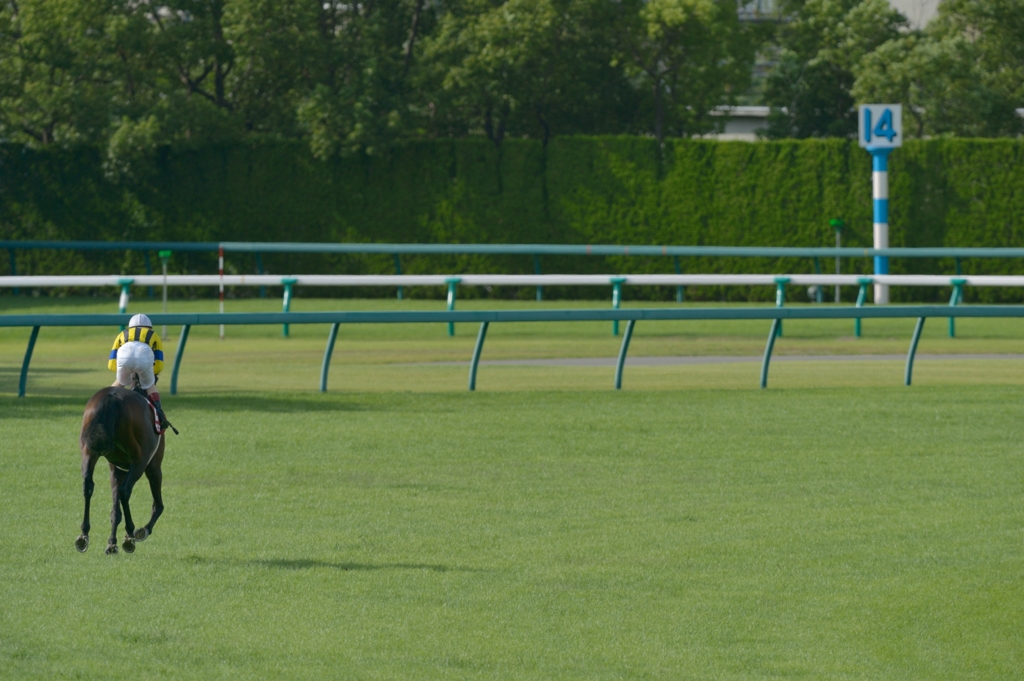 2012セントウルステークス　サンカルロ