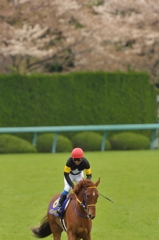 2015 桜花賞 レッツゴードンキ
