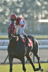 2013 金鯱賞　ウインバリアシオン