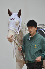 2016 上総ステークス ブチコ