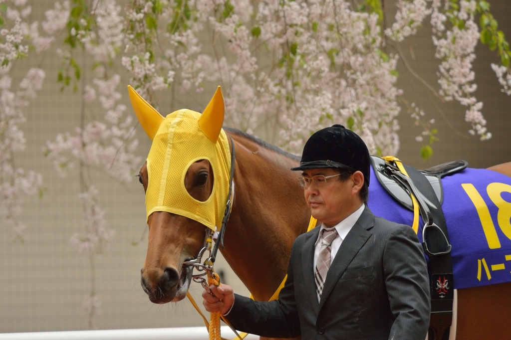 2014　桜花賞　ハープスター