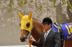2014　桜花賞　ハープスター