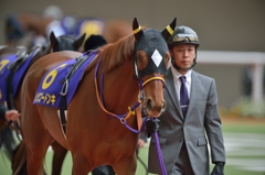 2015 桜花賞 レッツゴードンキ