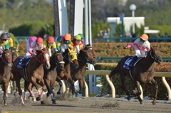 2016 フェブラリーステークス モーニン