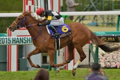 2015 桜花賞 レッツゴードンキ