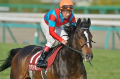 2013　弥生賞　ワンアンドオンリー