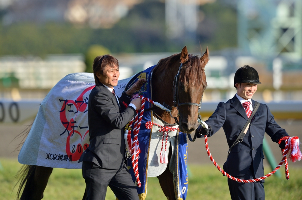 2016 フェブラリーステークス モーニン