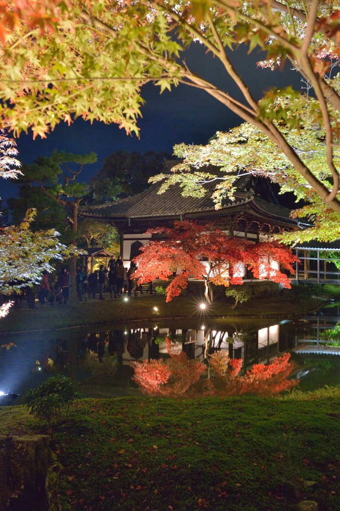 京都　高台寺