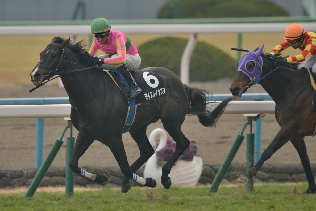 2015 飛鳥S テイエムイナズマ