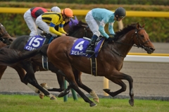 2014 天皇賞 スピルバーグ