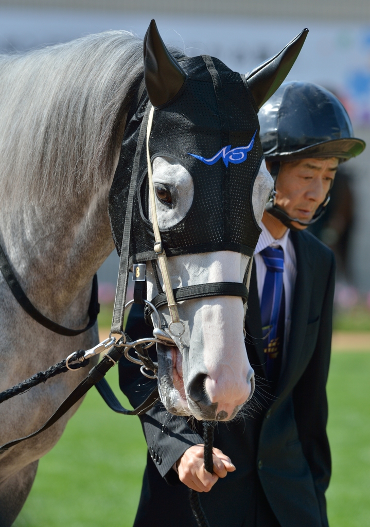 2013 天皇賞（春）　ゴールドシップ