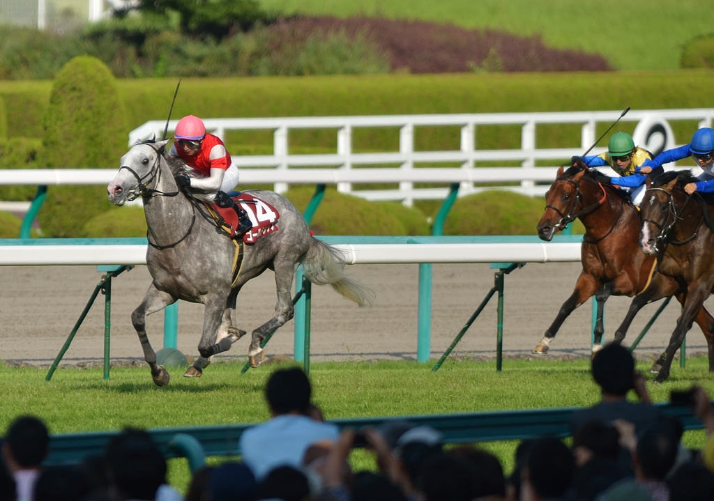 2012神戸新聞杯　ゴールドシップ