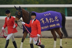 2014 有馬記念 ジェンティルドンナ