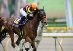 2012オークス　ジェンティルドンナ3