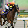2012オークス　ジェンティルドンナ3