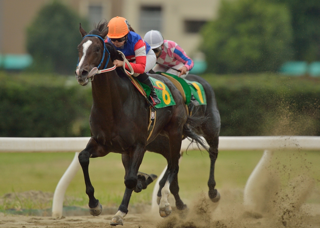名古屋競馬　ノゾミダイヤ