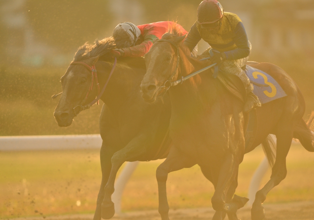 2012　東海菊花賞