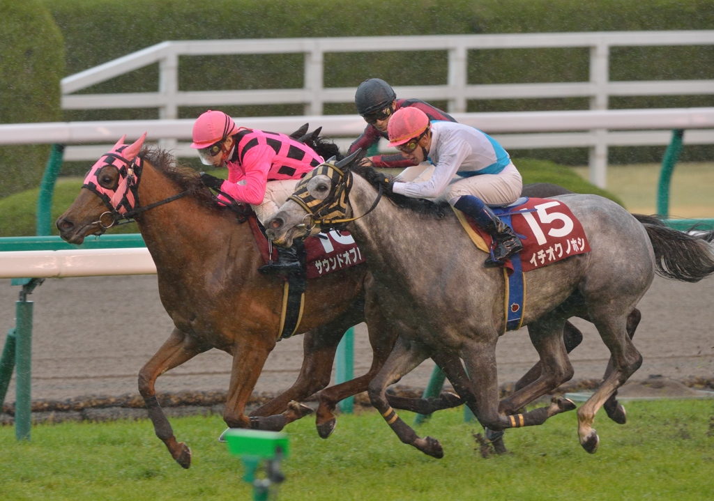 2013 阪神牝馬S サウンドオブハート