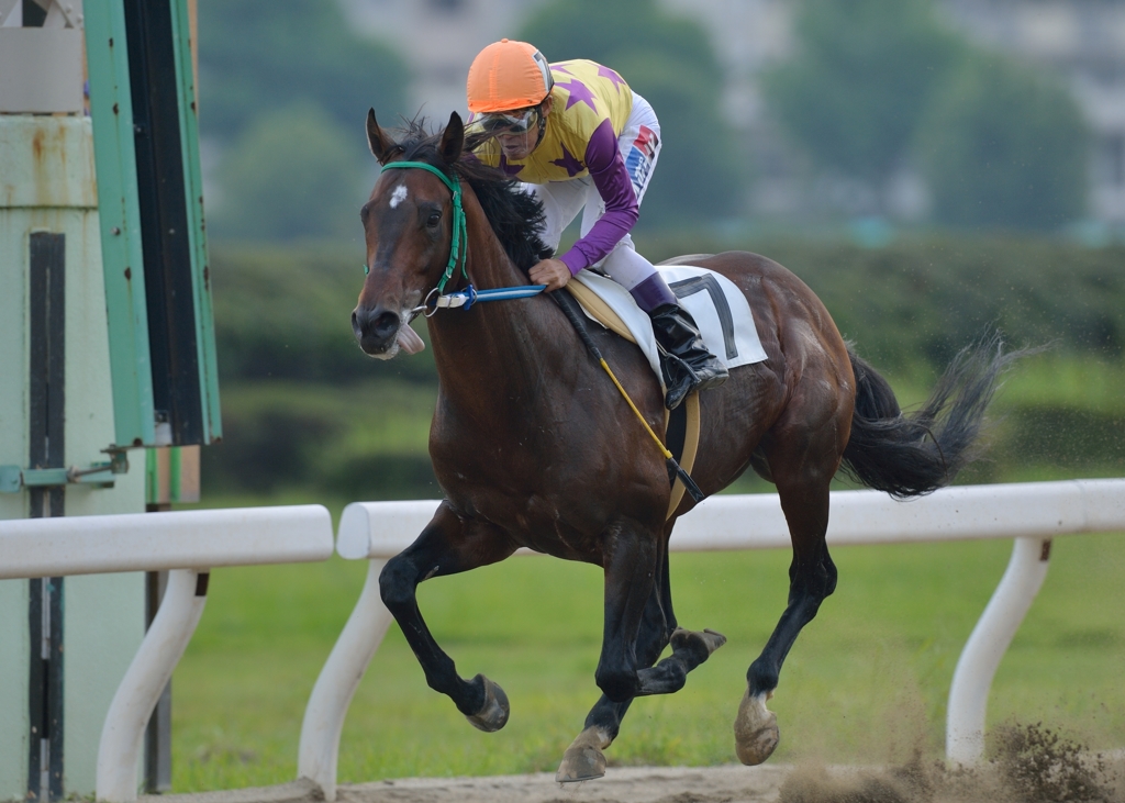 名古屋競馬