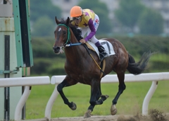 名古屋競馬