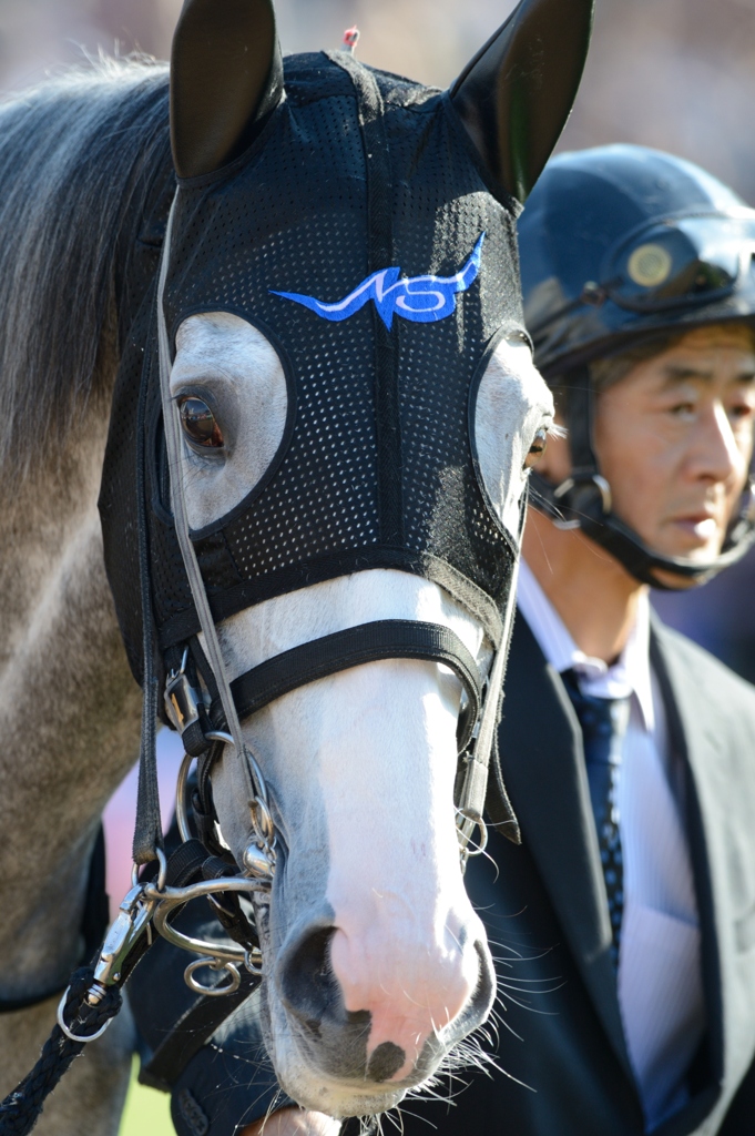 2012　菊花賞　ゴールドシップ