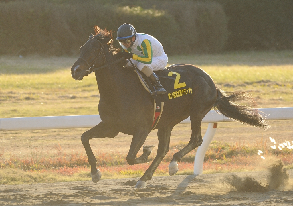 2011 名古屋グランプリ　ニホンピロアワーズ