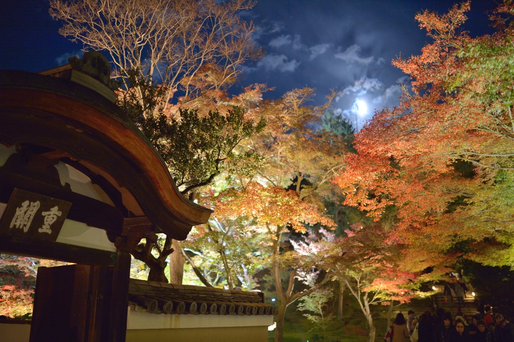 京都　高台寺