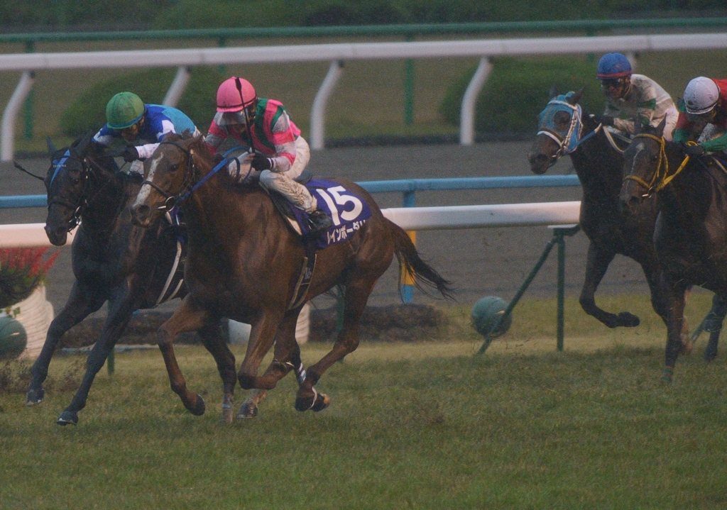 2012　エリザベス女王杯　レインボーダリア