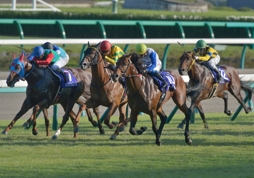 2013　スプリンターズステークス　ロードカナロア