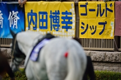 2015 ジャパンカップ ショウナンパンドラ
