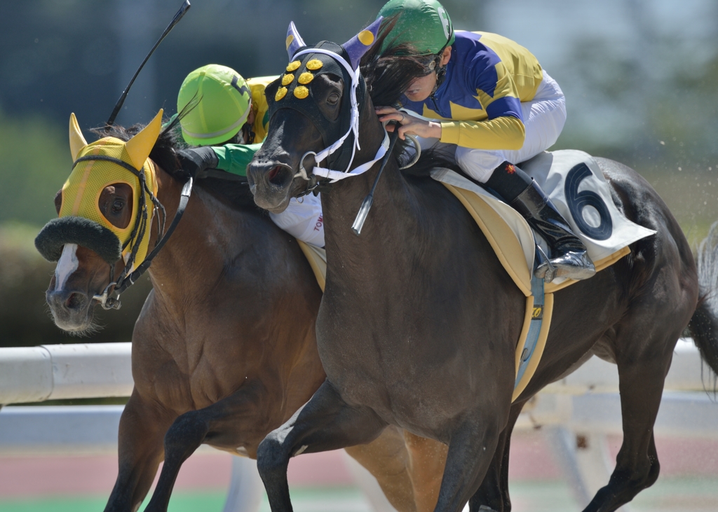 笠松競馬