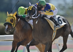 笠松競馬