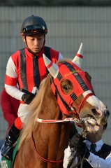 2015京都金杯 ウインフルブルーム