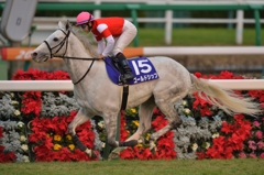 2015 有馬記念 ゴールドシップ
