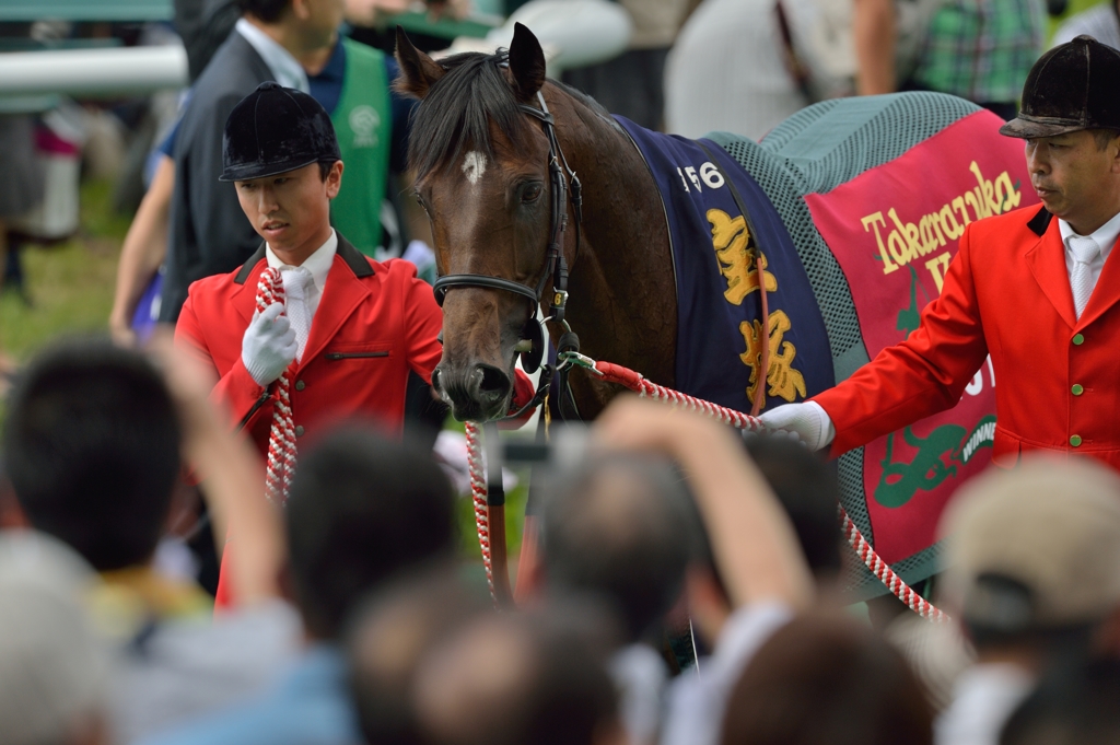 2015  宝塚記念 ラブリーデイ