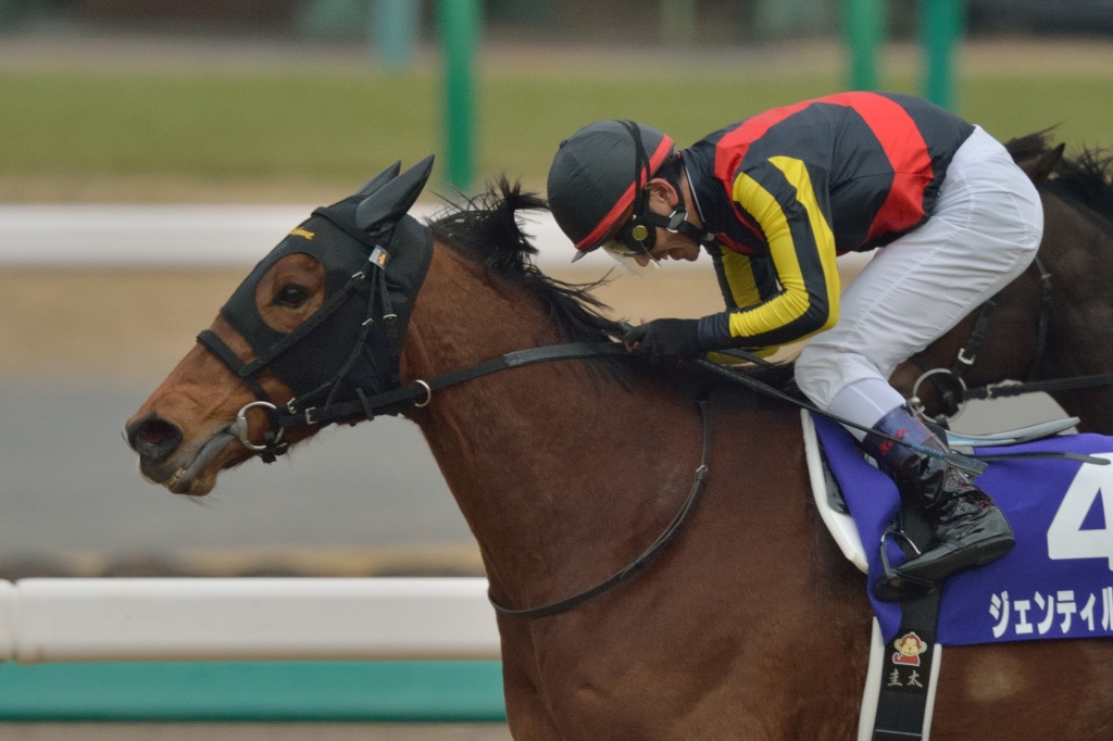 2014 有馬記念 ジェンティルドンナ