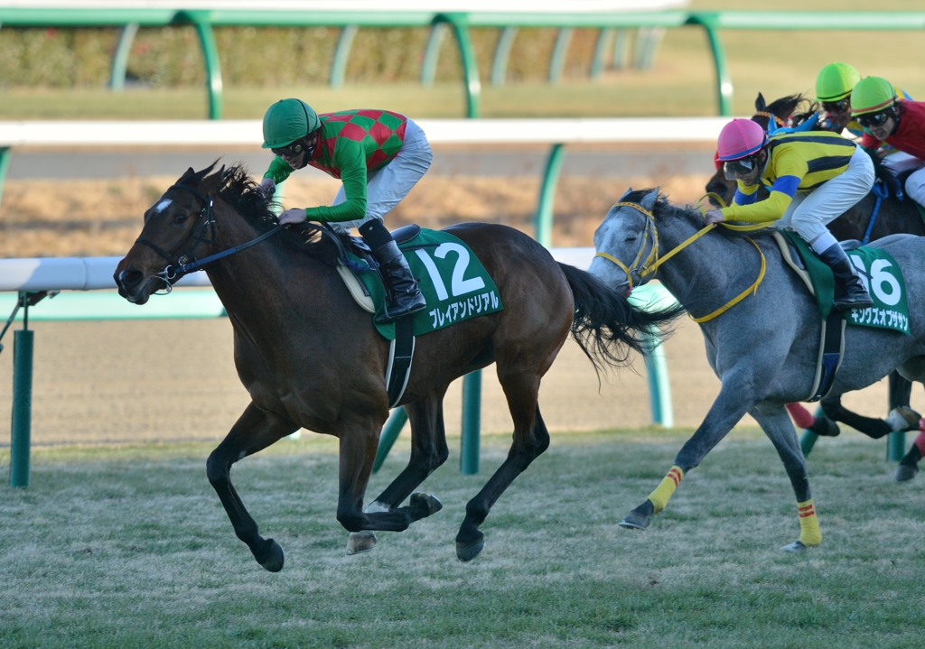 2014　京成杯　プレイアンドリアル