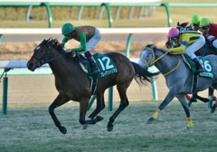 2014　京成杯　プレイアンドリアル
