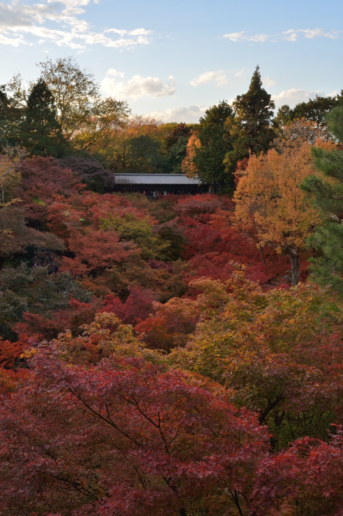 京都　東福寺