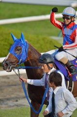 2014　菊花賞　トーホウジャッカル