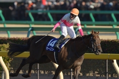 2016 フェブラリーステークス モーニン