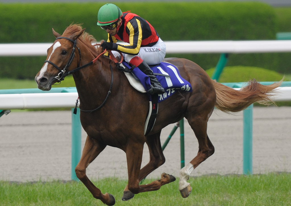 2012宝塚記念　オルフェーヴル　1