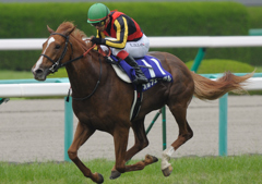 2012宝塚記念　オルフェーヴル　1