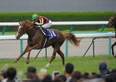 2012宝塚記念　オルフェーヴル　2