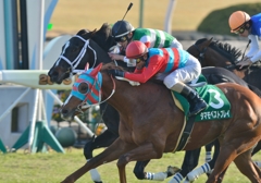 2013　きさらぎ賞　タマモベストプレイ