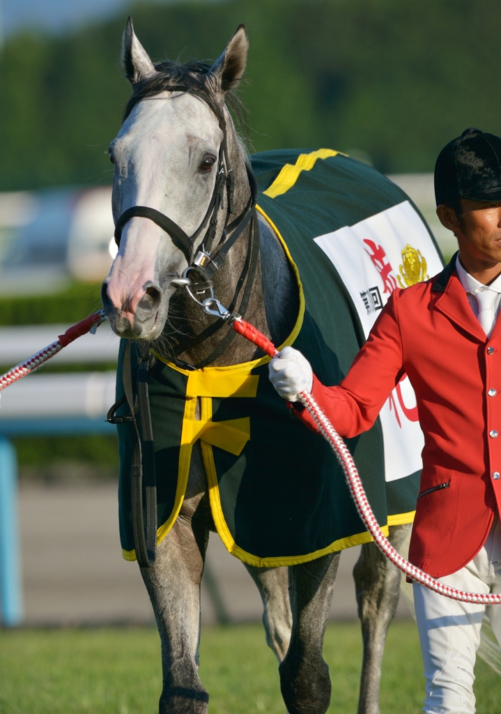 2012　菊花賞　ゴールドシップ