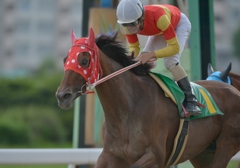 名古屋競馬120903①